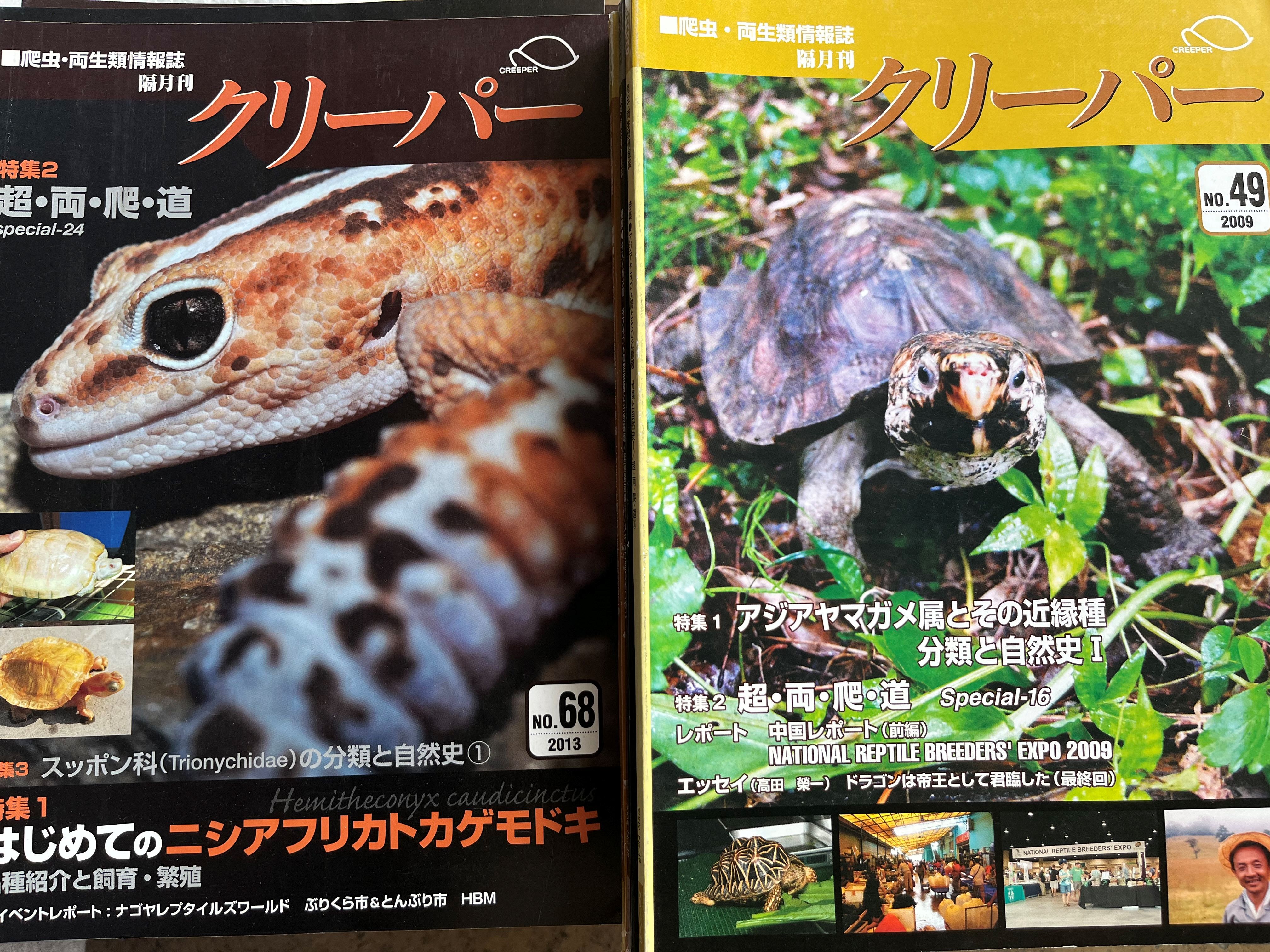 爬虫類 両生類 生物 動物の本を買取させて頂きました。クリーパー   ビバリウムガイドなど